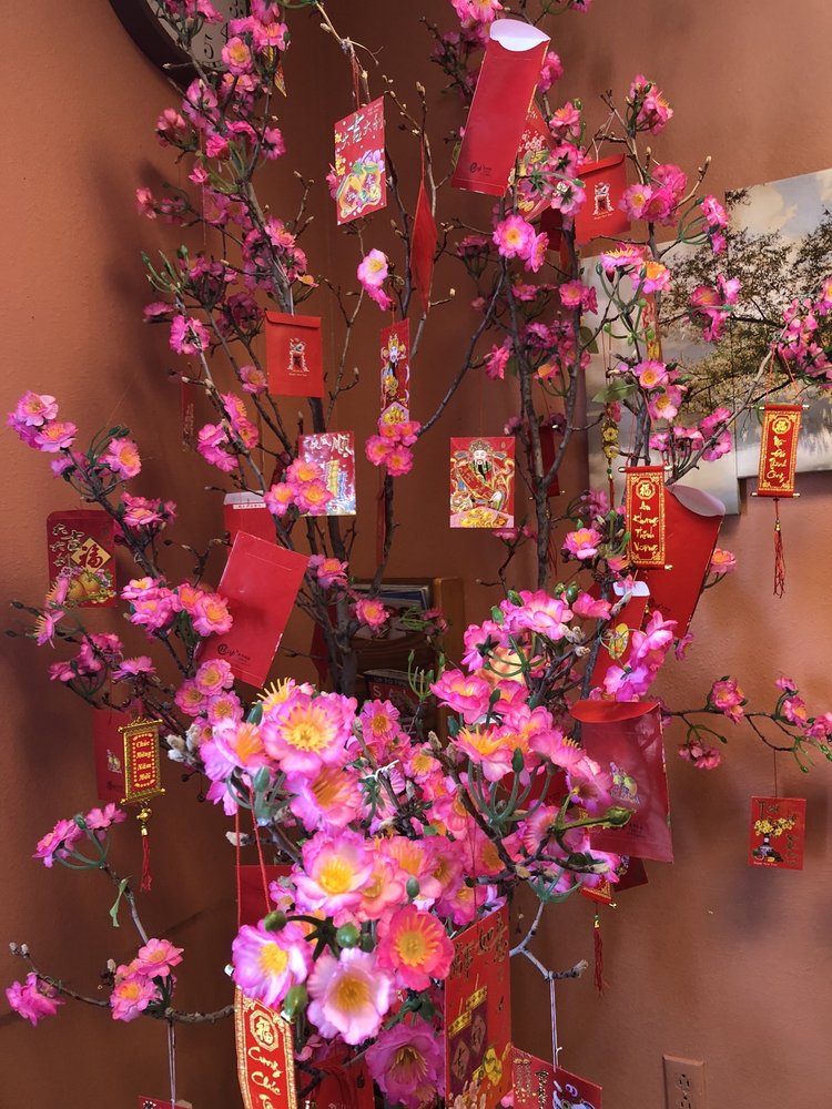 NAILS PLACE - 812 Photos & 46 Reviews - Nail Salons - 10250 Cottonwood