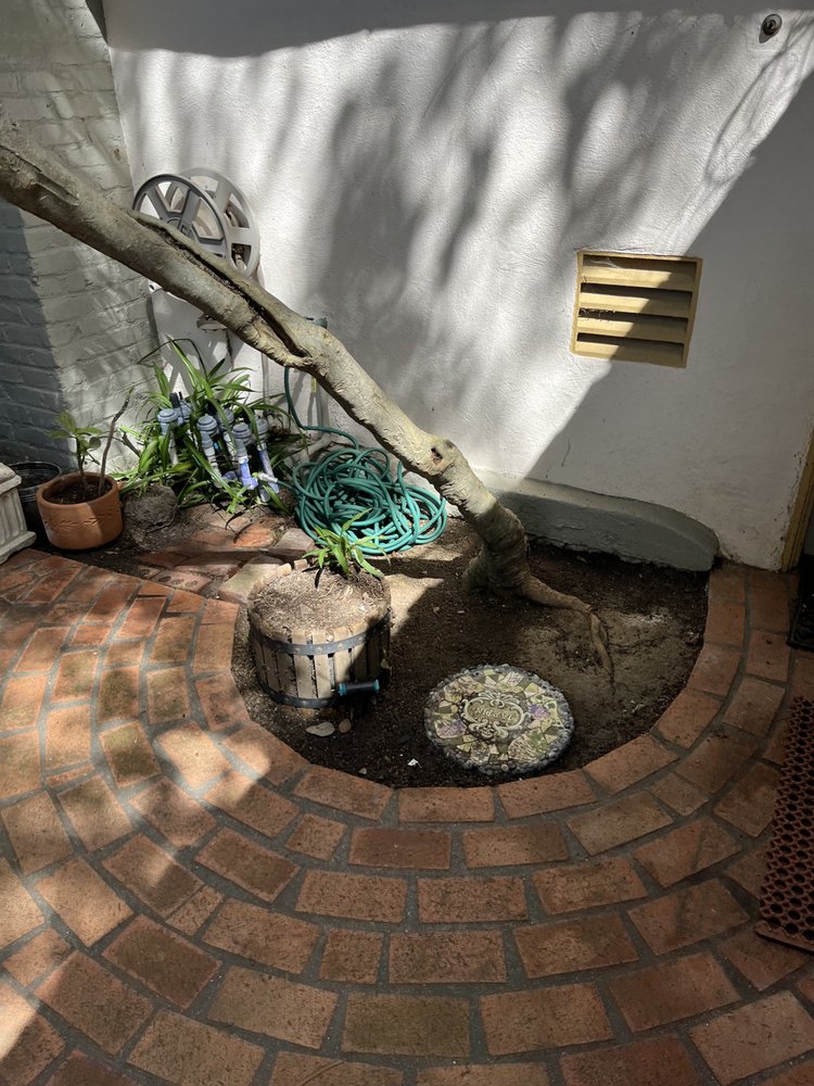 Enzo’s Landscaping - tree service in San Diego, CA