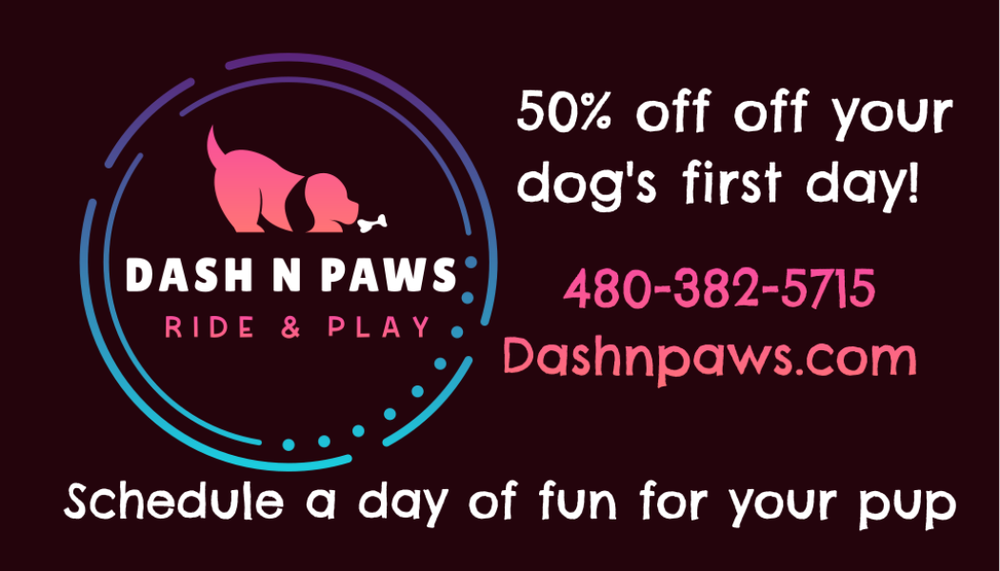 Dash N Paws Ride & Play - pet boarding facility in Phoenix, AZ