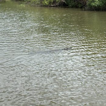 Jean Lafitte Swamp Tour - Boat Tours Near Me - Marrero, Louisiana