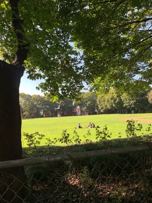 Albina Park Portland, Oregon: A Photographer's Paradise You Won't Believe!