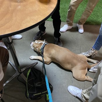 Brewery X - Beer dog - Breweries Near Me - Anaheim, California