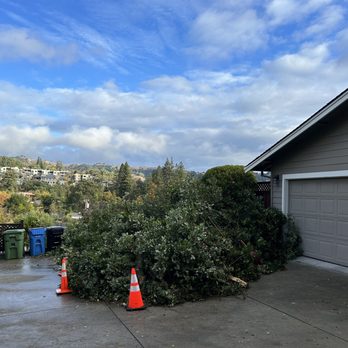 Gaspar's Landscaping Services - a driveway with a pile of bushes in front of a garage - Masonry/Concrete Near Me - Concord, California