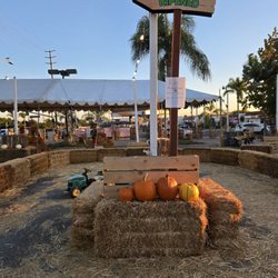 Sonshine Pumpkin Patch - Tractor ride
