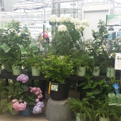 The Plant Place