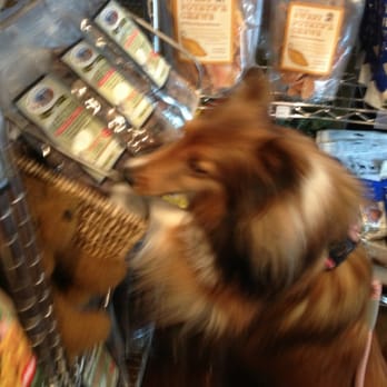 Doggone Natural - Shopping with Kiyomi - Pet Stores Near Me - Ashburn, Virginia Doggone Natural - Shopping with Kiyomi - Pet Stores Near Me - Ashburn, Virginia