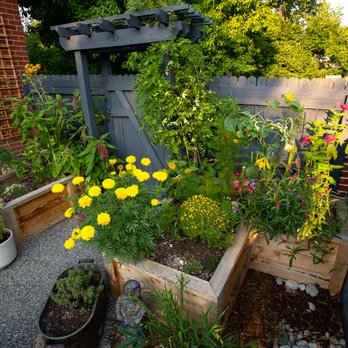 Kitchen Door Landscaping - a raised garden with flowers - Landscaping Near Me Kitchen Door Landscaping - a raised garden with flowers - Landscaping Near Me