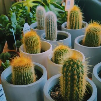 Parks Place Plants - Nurseries & Gardening Near Me - Spokane Valley , Washington