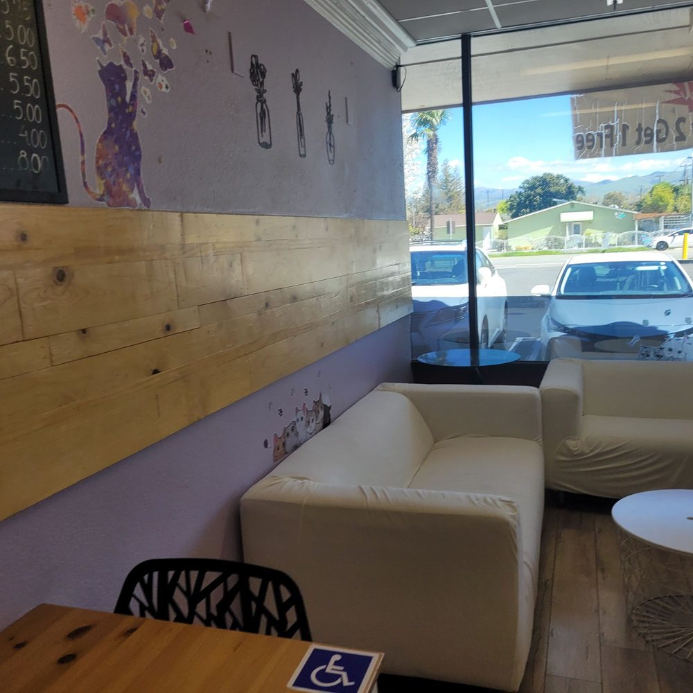 Meow Tea - Asian Fusion Near Me - San Jose, California Meow Tea - Asian Fusion Near Me - San Jose, California