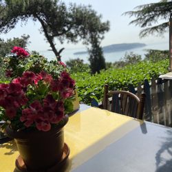 Lunapark Kır Gazinosu& Restorant