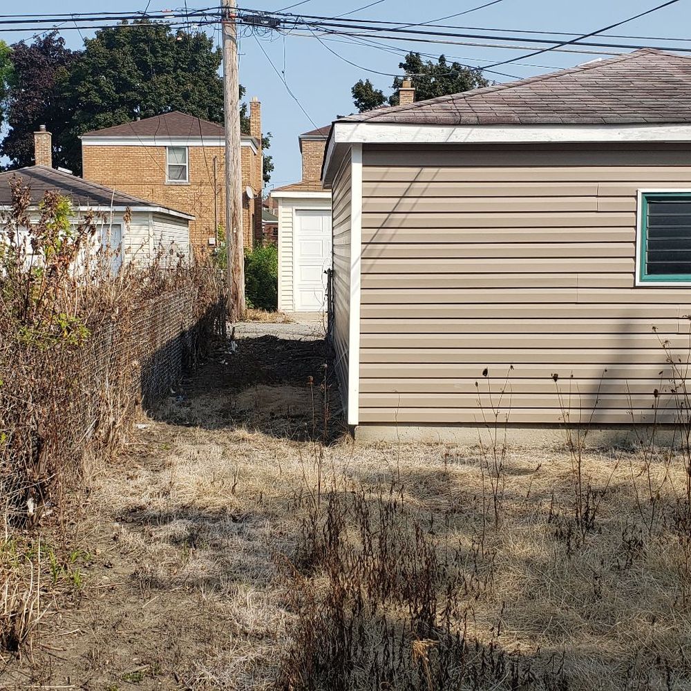 Prime Tree Care - After - Tree Services Near Me - Blue Island, Illinois Prime Tree Care - After - Tree Services Near Me - Blue Island, Illinois