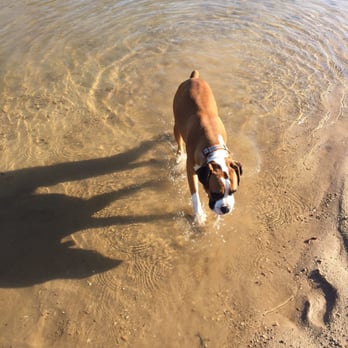 Bogue Chitto State Park - Taking a swim. Water was wayyyyy too cold for us but our dog enjoyed it - Campgrounds Near Me - Franklinton, Louisiana Bogue Chitto State Park - Taking a swim. Water was wayyyyy too cold for us but our dog enjoyed it - Campgrounds Near Me - Franklinton, Louisiana