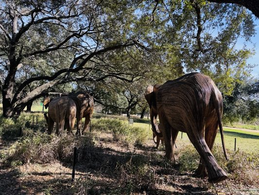 Hermann Park by null Hermann Park by null