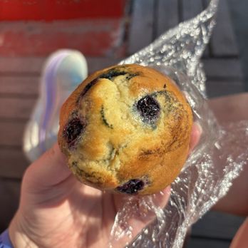 North End Java Stop - Blueberry muffin - Coffee & Tea Near Me - Carolina Beach, North Carolina North End Java Stop - Blueberry muffin - Coffee & Tea Near Me - Carolina Beach, North Carolina