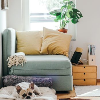 Mold Zero Services - Keep everyone healthy with mold removal - Damage Restoration Near Me - San Marino, California