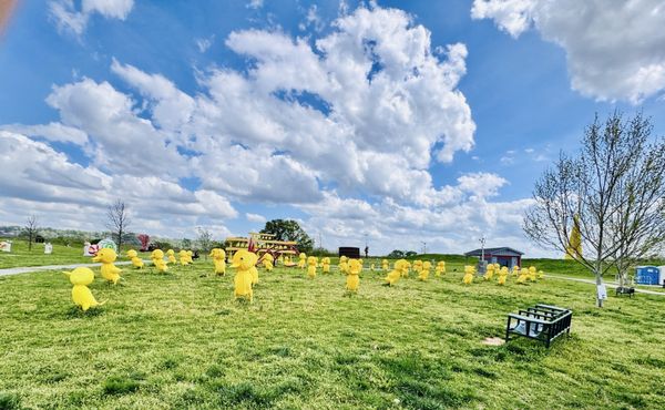 Sculpture Fields at Montague Park by null