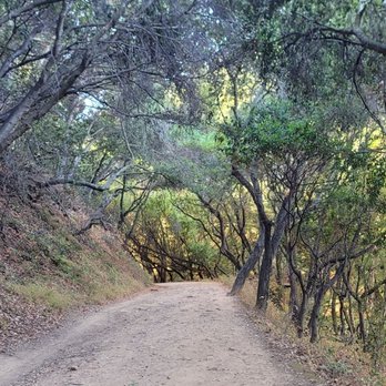 Lake Chabot Regional Park - Parks Near Me - Castro Valley, California Lake Chabot Regional Park - Parks Near Me - Castro Valley, California