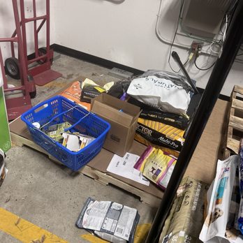 Petsense - Trash - Pet Groomers Near Me - Hinesville, Georgia