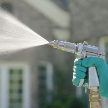 Bulwark Exterminating - Pest Control Near Me - Greenville, South Carolina