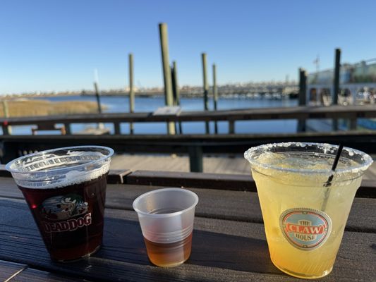 The Claw House by null