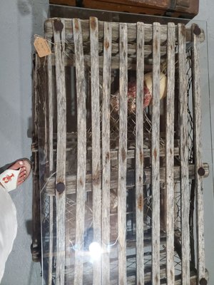 The Willows Flea Market by null