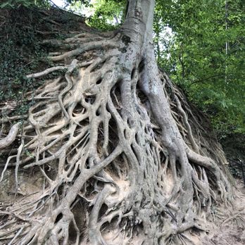 Falls Park - Venues & Event Spaces Near Me - Greenville, South Carolina Falls Park - Venues & Event Spaces Near Me - Greenville, South Carolina