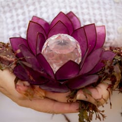 Diamond Lotus Reiki