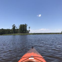 Blackwater Adventures