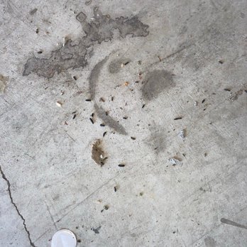 Public Storage - Rat drippings - Self Storage Near Me - San Lorenzo, California