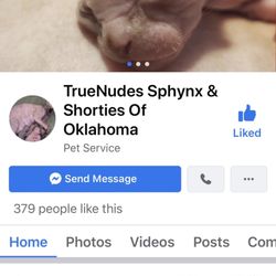 TrueNudes Sphynx & Shorties Of Oklahoma
