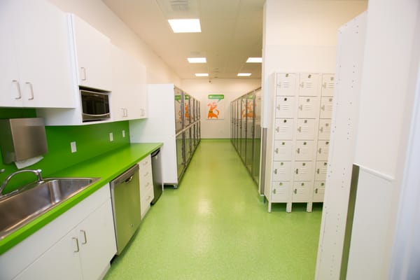 Citydog! Club by null