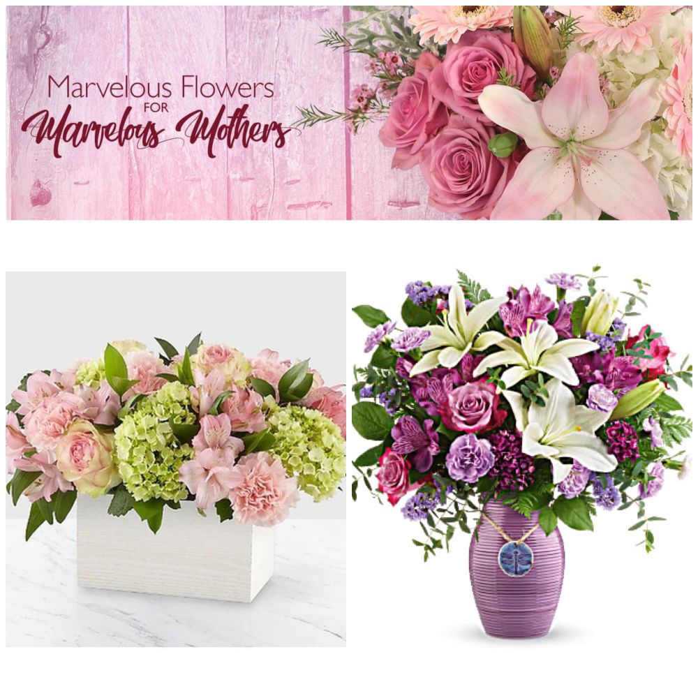FLOWERS & MORE 166 Photos & 19 Reviews 1241 N State Rd 7, Royal