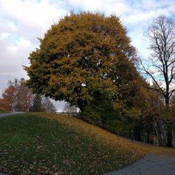 Stensparken