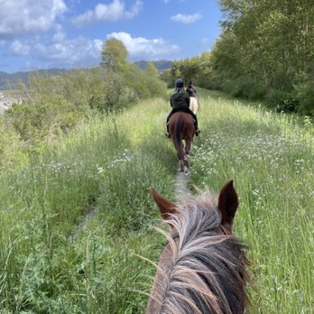 Korobi Stables - Horseback Riding Near Me - Fortuna, California Korobi Stables - Horseback Riding Near Me - Fortuna, California