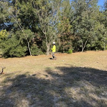 Broadway Tree Care - Broadway Tree Care - Tree Services Near Me Broadway Tree Care - Broadway Tree Care - Tree Services Near Me