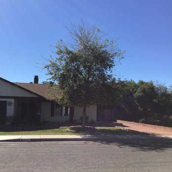 Core Tree Service - Tree Services Near Me - Glendale, Arizona