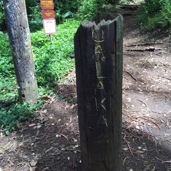 'Ualaka'a Trail - Trail head is clearly marked as well as all other junctions; please consult with my review for further directions. - Hiking Near Me - Honolulu, Hawaii 'Ualaka'a Trail - Trail head is clearly marked as well as all other junctions; please consult with my review for further directions. - Hiking Near Me - Honolulu, Hawaii