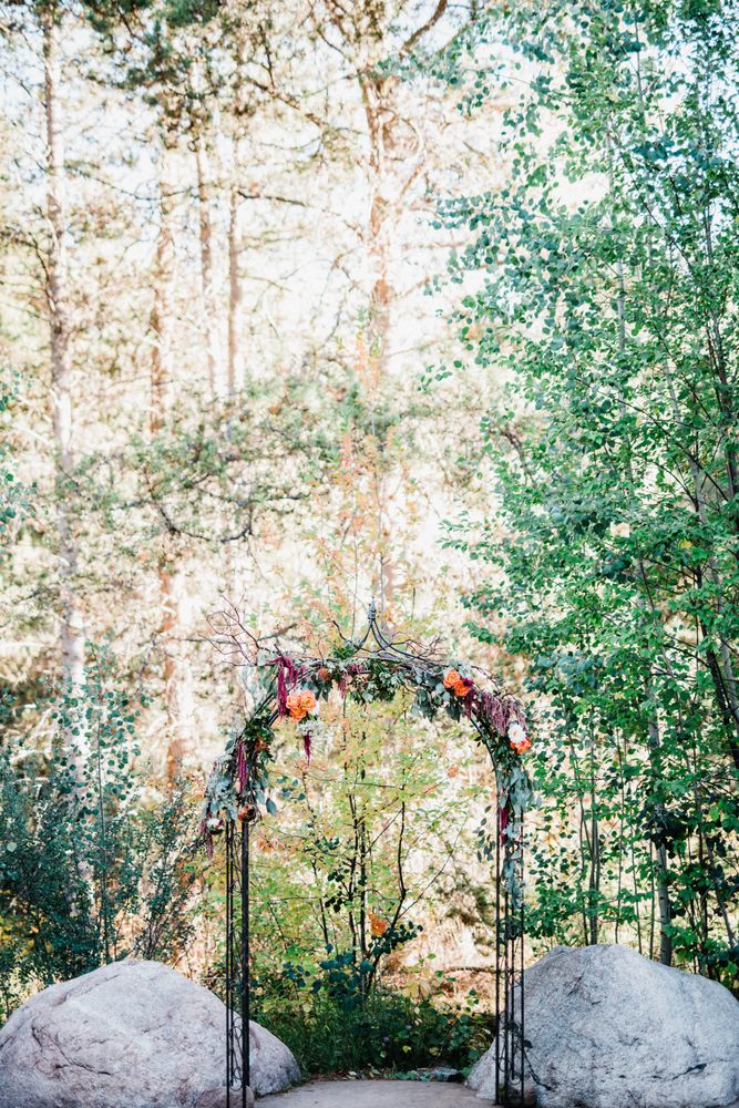 PETALS OF PROVENCE Updated July 2024 341 Broadway, Eagle, Colorado