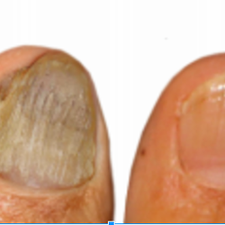 Podiatrist in Motion