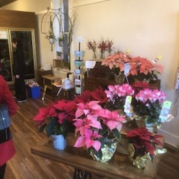 Wild Blooms Florals - Flowers & Gifts Near Me - Spring City, Pennsylvania Wild Blooms Florals - Flowers & Gifts Near Me - Spring City, Pennsylvania