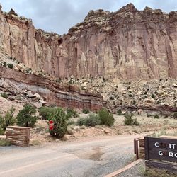 Capitol Gorge - The cliff-faced walls hover all around you here at Capitol Gorge.