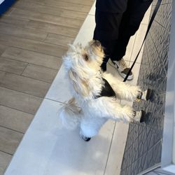 Meelo loves this place! Best products & staff