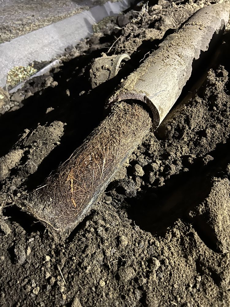 Slide of Wild Land Excavation