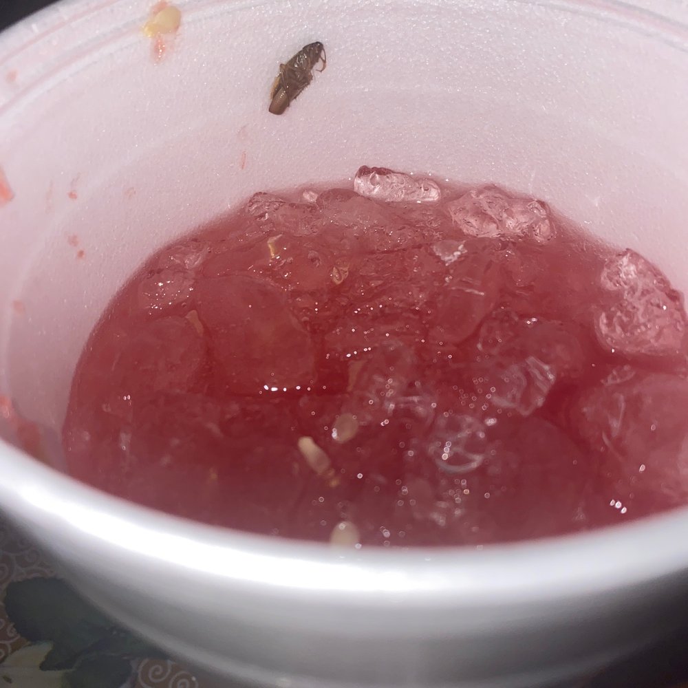 Los Pinguinos Snack - Aqua de Sandia with cockroach - American Near Me - Laredo, Texas