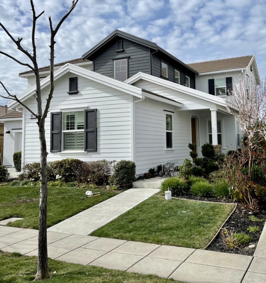 Write a review on beene painting 03 image