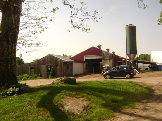 Cato Corner Farm by null