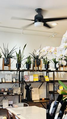Fiddle Fig Cafe & Coffee by null