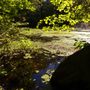 Photo of Wildcat Ridge Wildlife Management Area