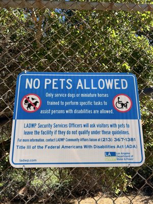 Hollywood Reservoir by null