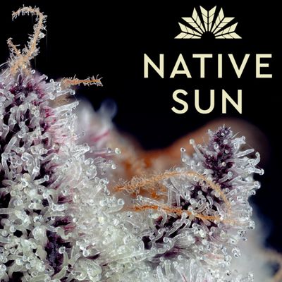 NATIVE SUN WEED DISPENSARY SOUTH BOSTON - Updated September 2025 - 47
